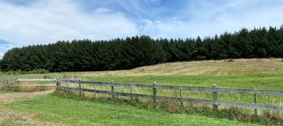 Terrain à Horowhenua, New Zealand 4217m² No. 181 4