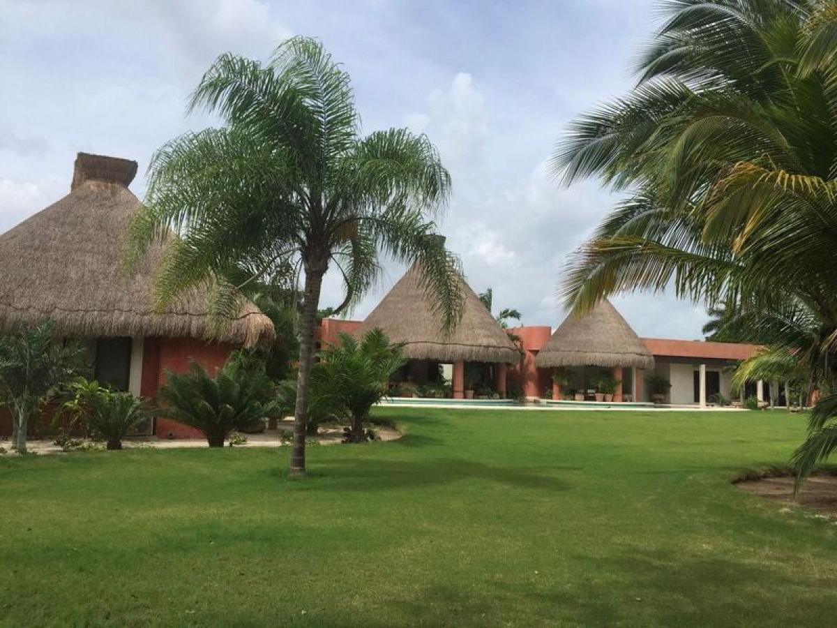 Casa T3 em Merida, Mexico N.º 8227