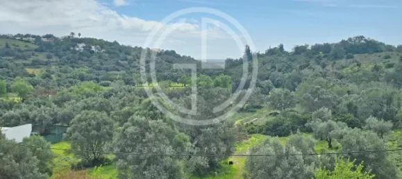 3 bedrooms House in Loule, Portugal No. 76435 15