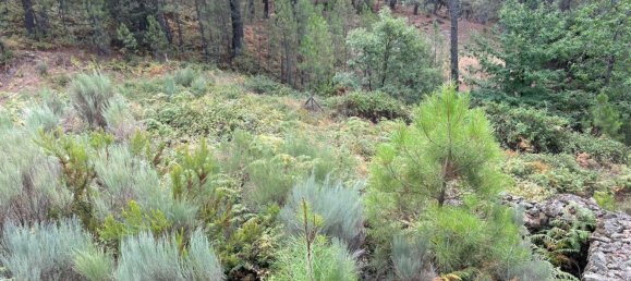 Grundstück in Avila, Spain 1500m², Nr. 86208 14