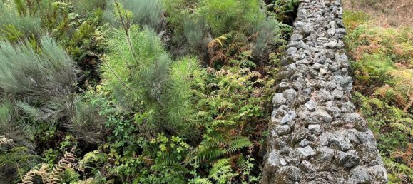 Grundstück in Avila, Spain 1500m², Nr. 86208 12