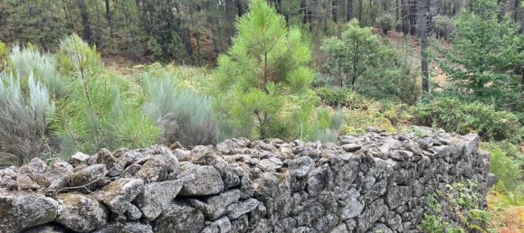 Grundstück in Avila, Spain 1500m², Nr. 86208 11