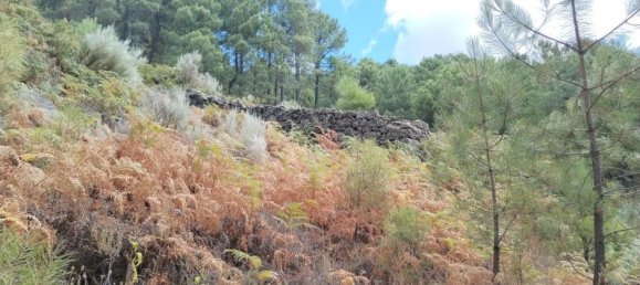 Grundstück in Avila, Spain 1500m², Nr. 86208 7