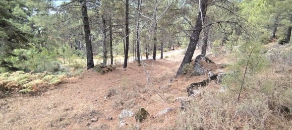 Grundstück in Avila, Spain 1500m², Nr. 86208 17