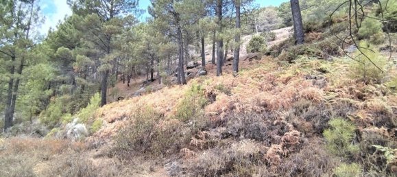 Grundstück in Avila, Spain 1500m², Nr. 86208 18