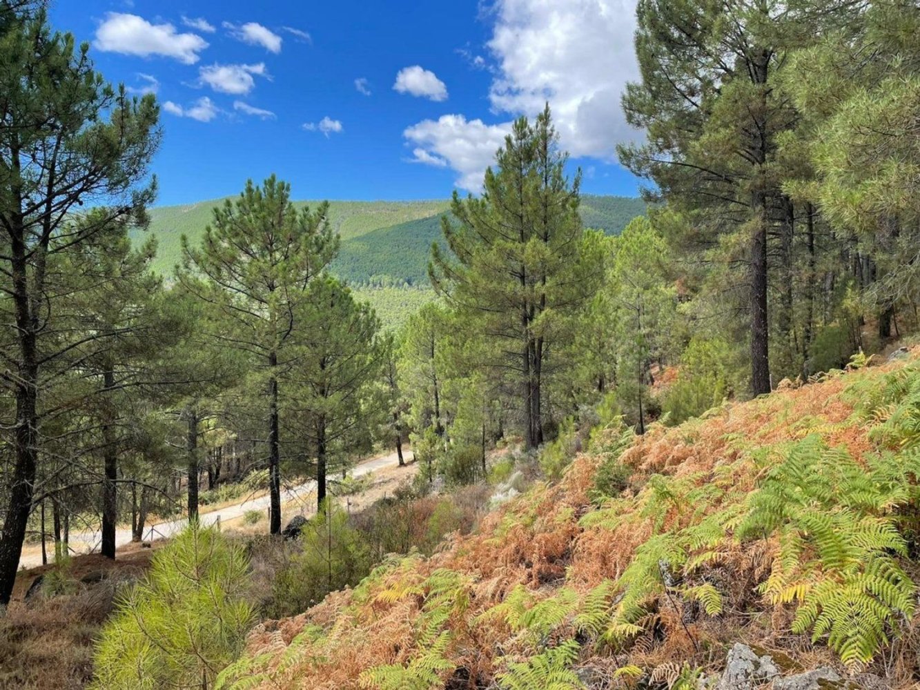 1500m² Land in Avila, Spain No. 86208