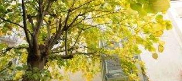 3غرفة شقة في Rudolfsheim-Funfhaus, Austria رقم 28030 3