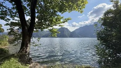 Terrain à Traunkirchen, Austria No. 219694