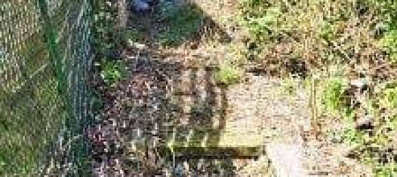 Grundstück in Mönchengladbach, Germany 409m², Nr. 362065 4