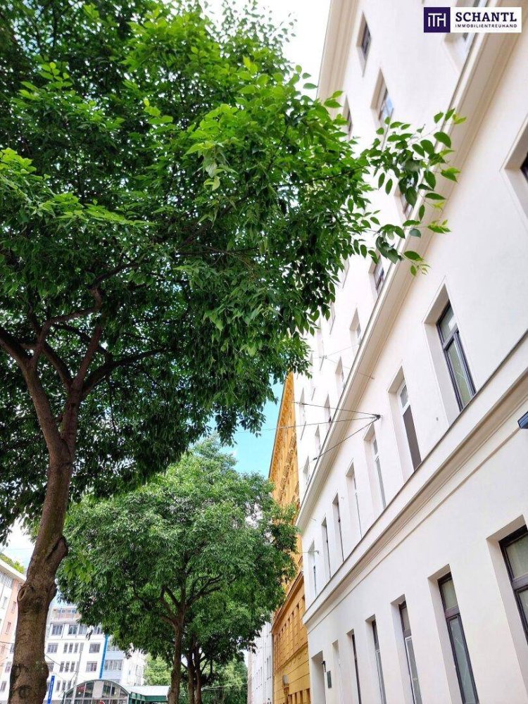 4 rooms Apartment in Vienna, Austria No. 195226