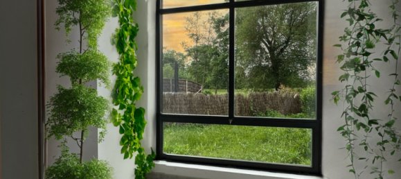 Casa T3 em Hilsenheim, France N.º 270920 11