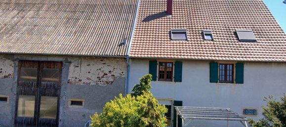 Imóvel comercial T7 em Niederhergheim, France N.º 277024 3