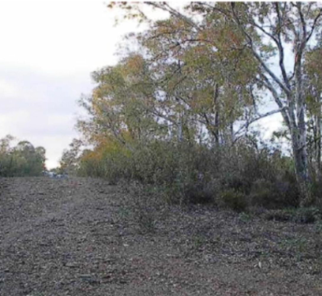 502806m² Land in Andalusia, Spain No. 203283