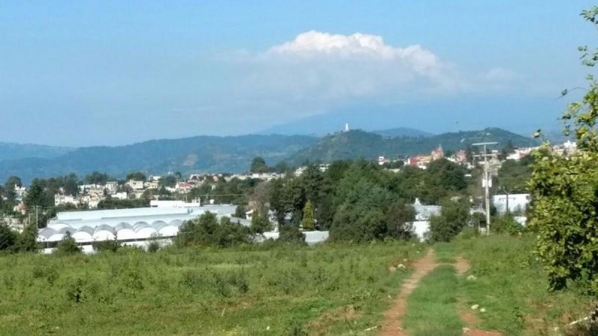 Terreno en Villa Guerrero, Mexico No. 203669