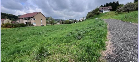  Land in Feldbach, Austria No. 130657 5