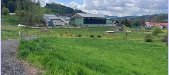  Land in Feldbach, Austria No. 130657 4