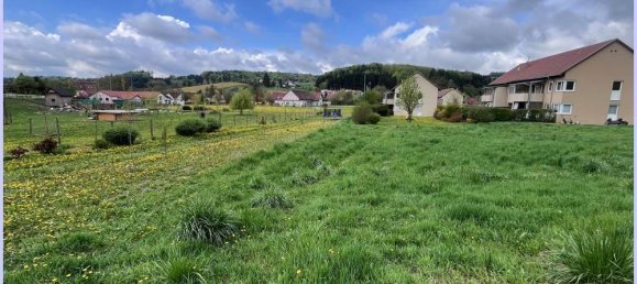  Land in Feldbach, Austria No. 130657 3