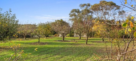 3 chambres Ferme à Buffalo, Australia No. 455 23