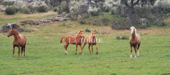 Grundstück in Ledesma, Spain 7000000m², Nr. 61444 10