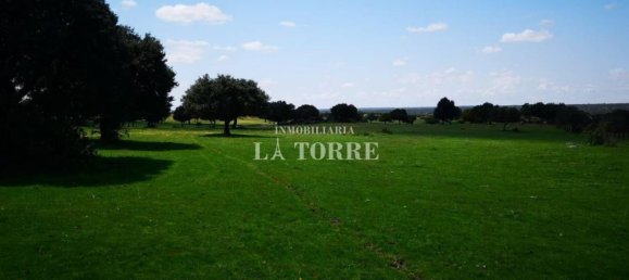 Grundstück in Ledesma, Spain 7000000m², Nr. 61444 6