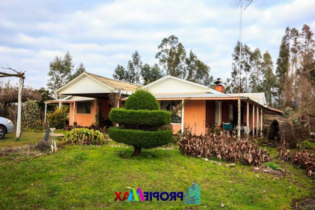  Land in Maule, Chile No. 1265