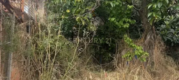 275m² Land in Polinya, Spain No. 146088 5