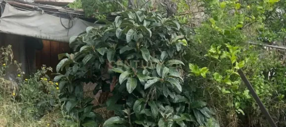 275m² Land in Polinya, Spain No. 146088 21