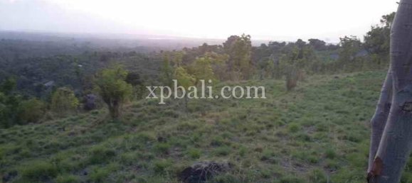  قطعة أرض في Lovina, Indonesia 6000متر مربع رقم 4148 4