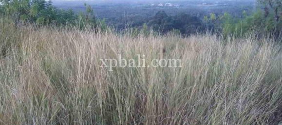  قطعة أرض في Lovina, Indonesia 6000متر مربع رقم 4148 2