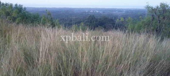  قطعة أرض في Lovina, Indonesia 6000متر مربع رقم 4148 3