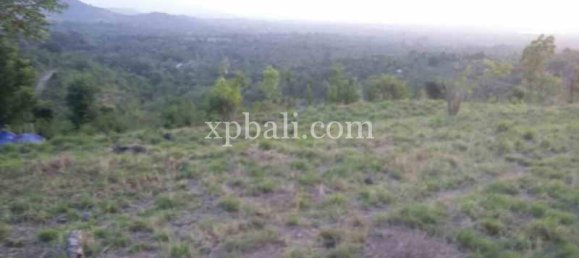  قطعة أرض في Lovina, Indonesia 6000متر مربع رقم 4148 5