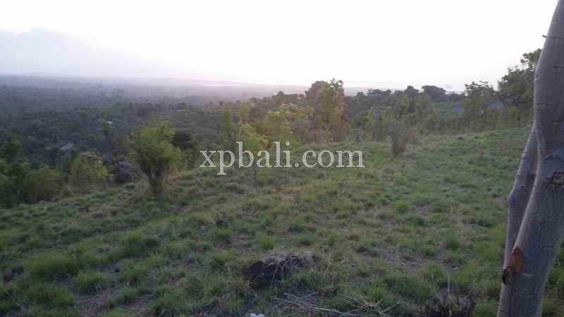  قطعة أرض في Lovina, Indonesia 6000متر مربع رقم 4148