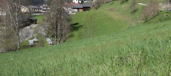 Grundstück in Weitersfelden, Austria, Nr. 9784 3