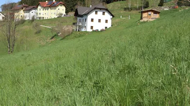 Grundstück in Weitersfelden, Austria, Nr. 9784