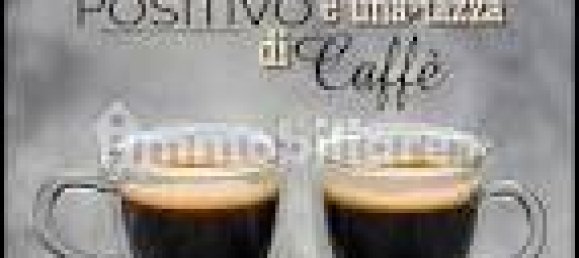 2 rooms Commercial property in Moncalieri, Italy No. 101691 15