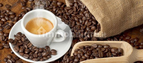 2 rooms Commercial property in Moncalieri, Italy No. 101691 48