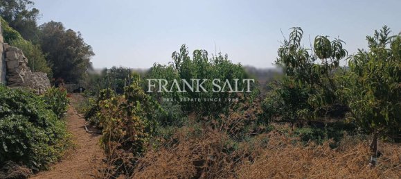  Land in Zejtun, Malta No. 13484 7