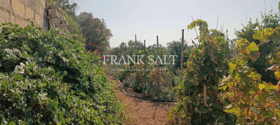  Land in Zejtun, Malta No. 13484 4