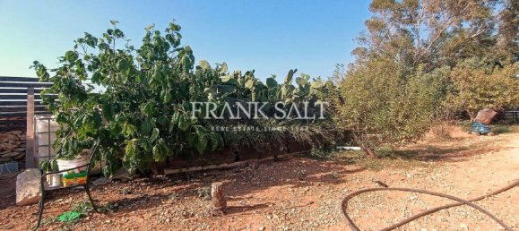  Land in Zejtun, Malta No. 13484 6