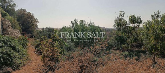  Land in Zejtun, Malta No. 13484 3