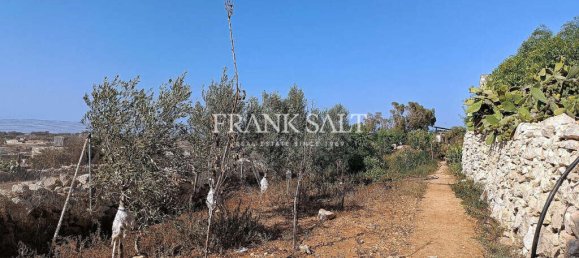  Land in Zejtun, Malta No. 13484 11