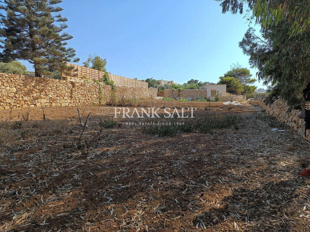  Land in Zejtun, Malta No. 13484