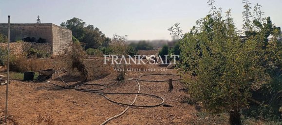  Land in Zejtun, Malta No. 13484 8