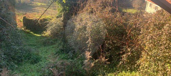 1 غرف نوم منزل في Paredes de Coura, Portugal رقم 19139 18