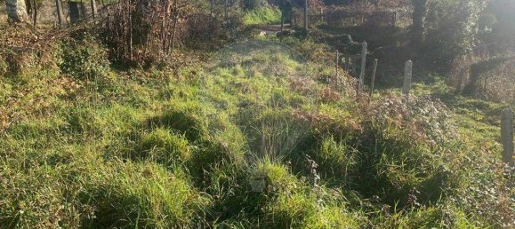 1 غرف نوم منزل في Paredes de Coura, Portugal رقم 19139 12