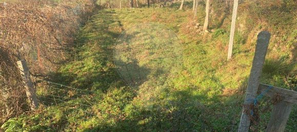 1 غرف نوم منزل في Paredes de Coura, Portugal رقم 19139 11