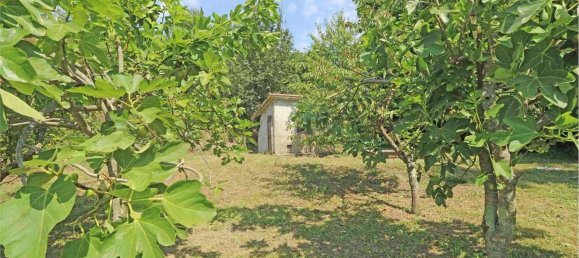 Дом с 13 комнатами в Мулаццо, Италия № 174424 34