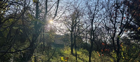 1-Zimmer Grundstück in Orino, Italy, Nr. 137439 2