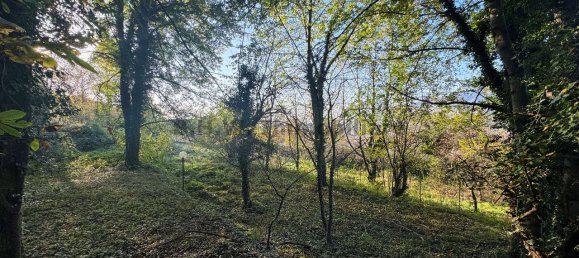 1-Zimmer Grundstück in Orino, Italy, Nr. 137439 8