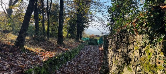 1-Zimmer Grundstück in Orino, Italy, Nr. 137439 20